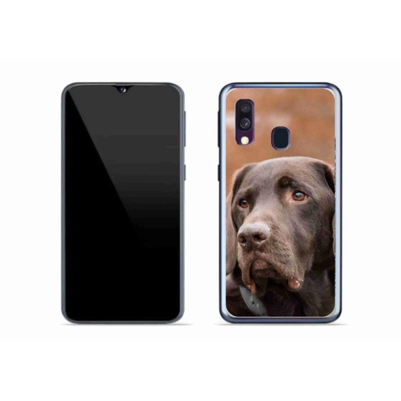 Gelový obal mmCase na mobil Samsung Galaxy A40 - hnědý labrador