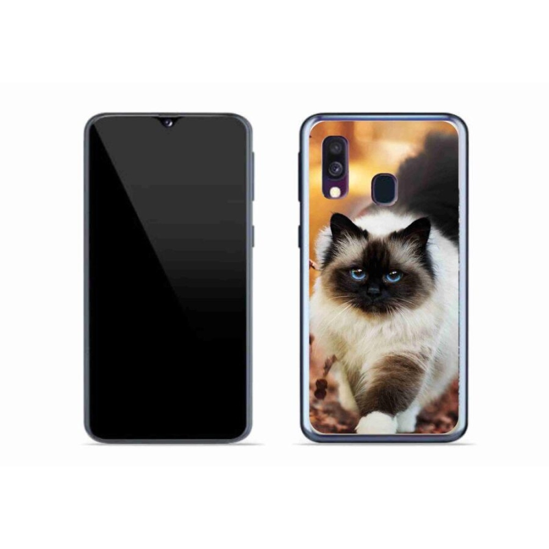 Gelový obal mmCase na mobil Samsung Galaxy A40 - kočka 1