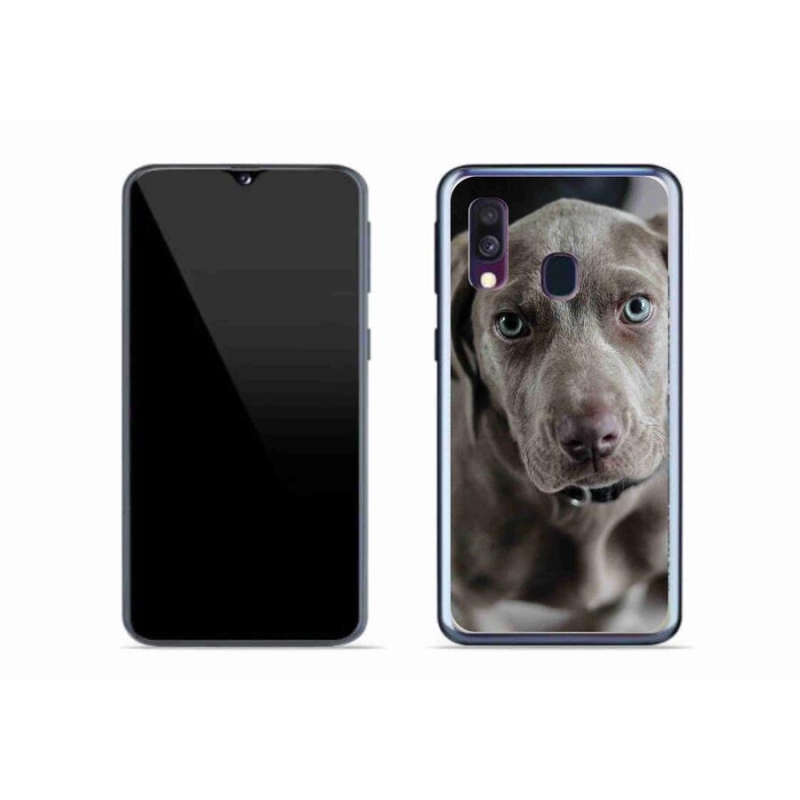 Gelový obal mmCase na mobil Samsung Galaxy A40 - výmarský ohař
