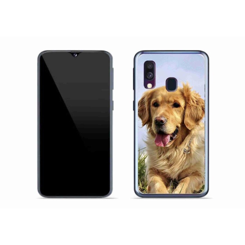 Gelový obal mmCase na mobil Samsung Galaxy A40 - zlatý retrívr