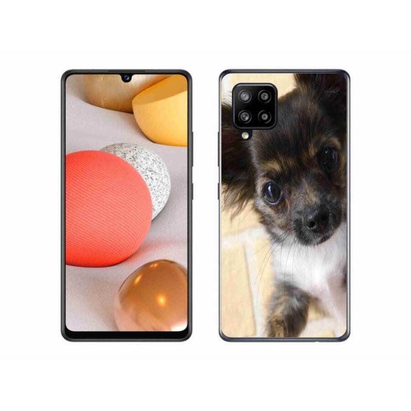 Gelový obal mmCase na mobil Samsung Galaxy A42 5G - čivava 2
