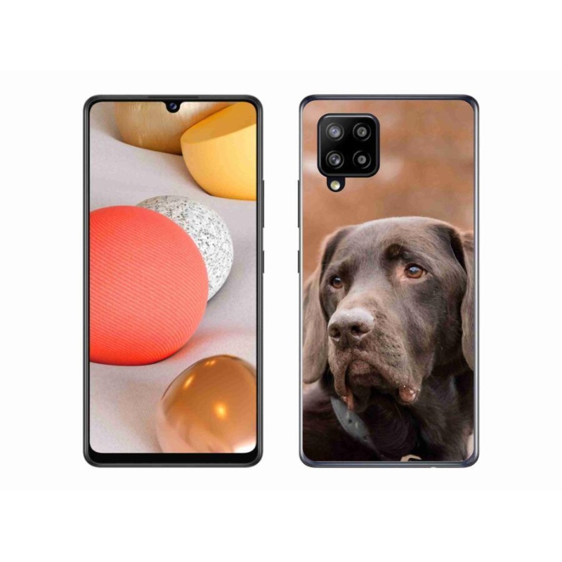 Gelový obal mmCase na mobil Samsung Galaxy A42 5G - hnědý labrador