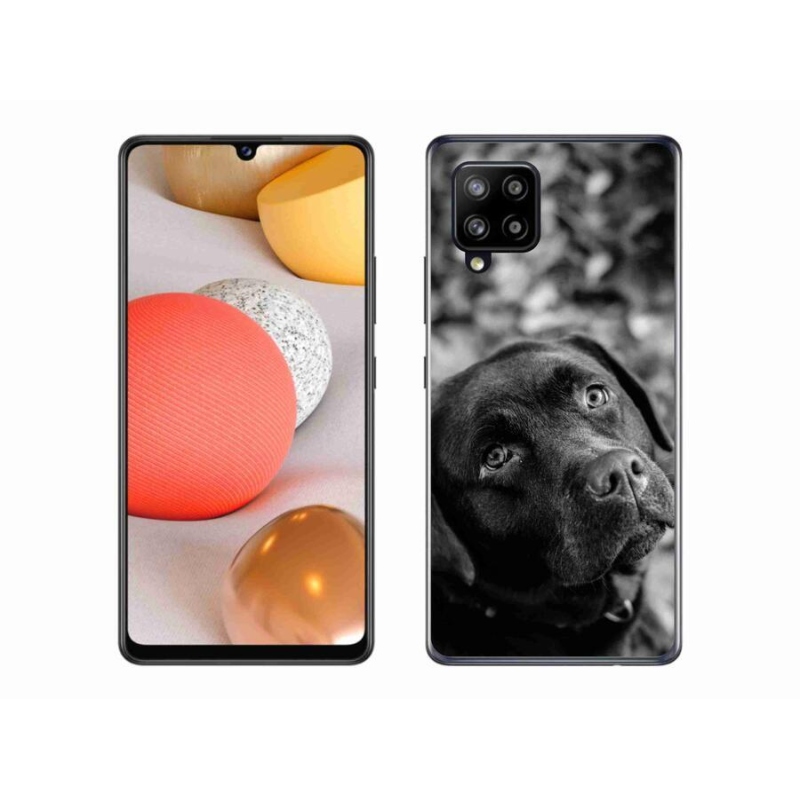 Gelový obal mmCase na mobil Samsung Galaxy A42 5G - labrador