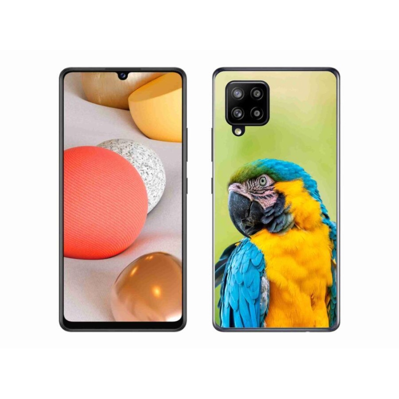 Gelový obal mmCase na mobil Samsung Galaxy A42 5G - papoušek ara 2