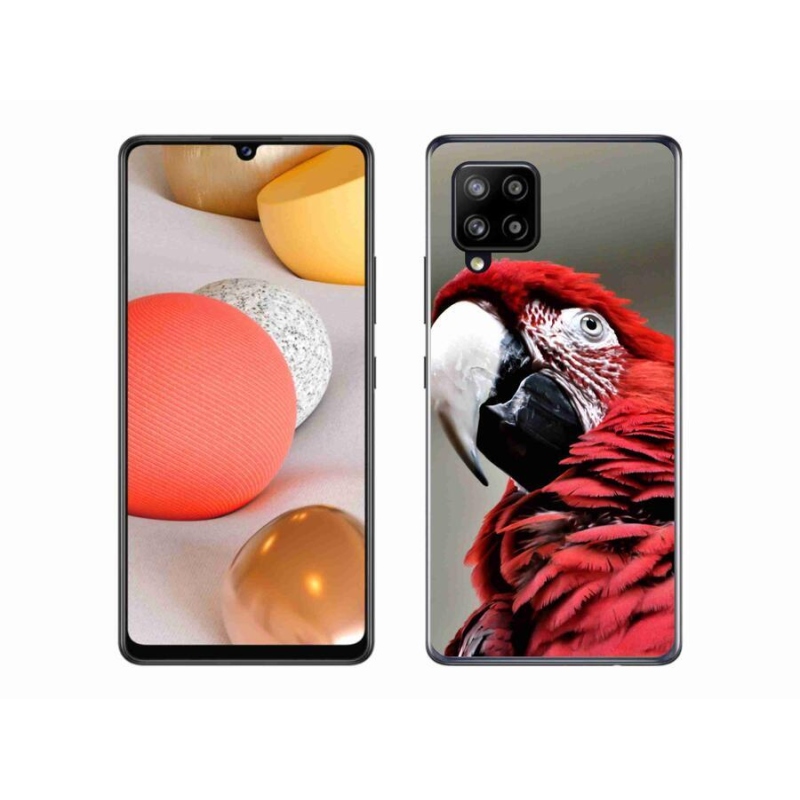 Gelový obal mmCase na mobil Samsung Galaxy A42 5G - papoušek ara červený
