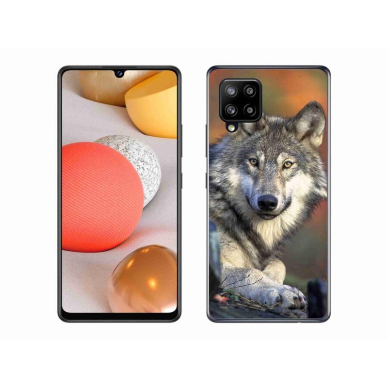 Gelový obal mmCase na mobil Samsung Galaxy A42 5G - vlk