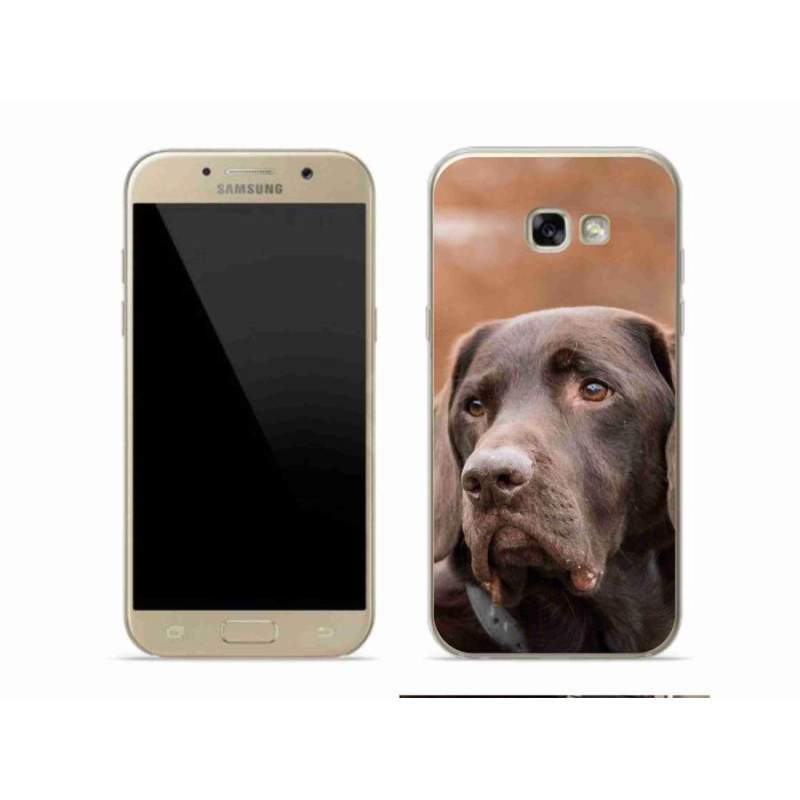 Gelový obal mmCase na mobil Samsung Galaxy A5 (2017) - hnědý labrador
