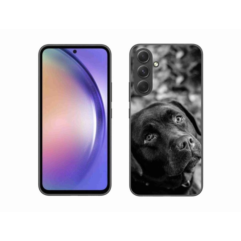 Gelový obal mmCase na mobil Samsung Galaxy A54 5G - labrador