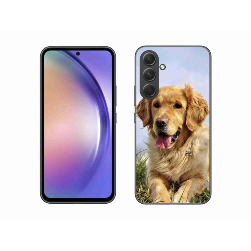 Gelový obal mmCase na mobil Samsung Galaxy A54 5G - zlatý retrívr