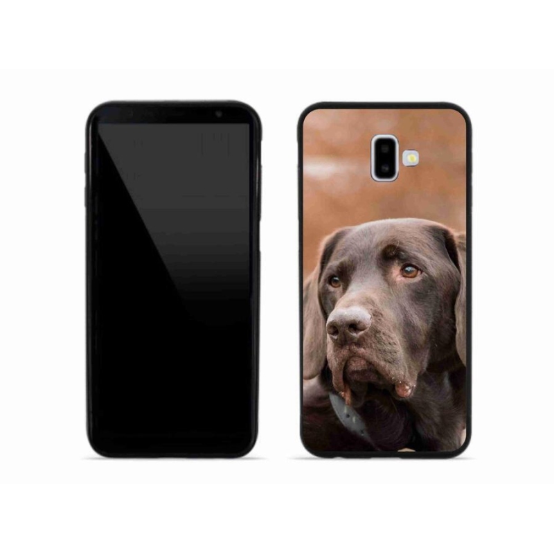 Gelový obal mmCase na mobil Samsung Galaxy J6 Plus - hnědý labrador