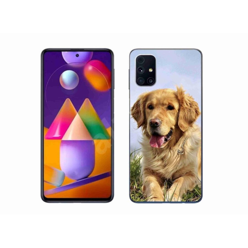 Gelový obal mmCase na mobil Samsung Galaxy M31s - zlatý retrívr