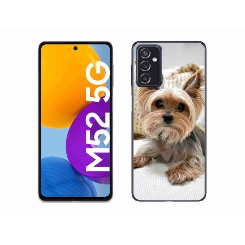 Gelový obal mmCase na mobil Samsung Galaxy M52 5G - jorkšír 5