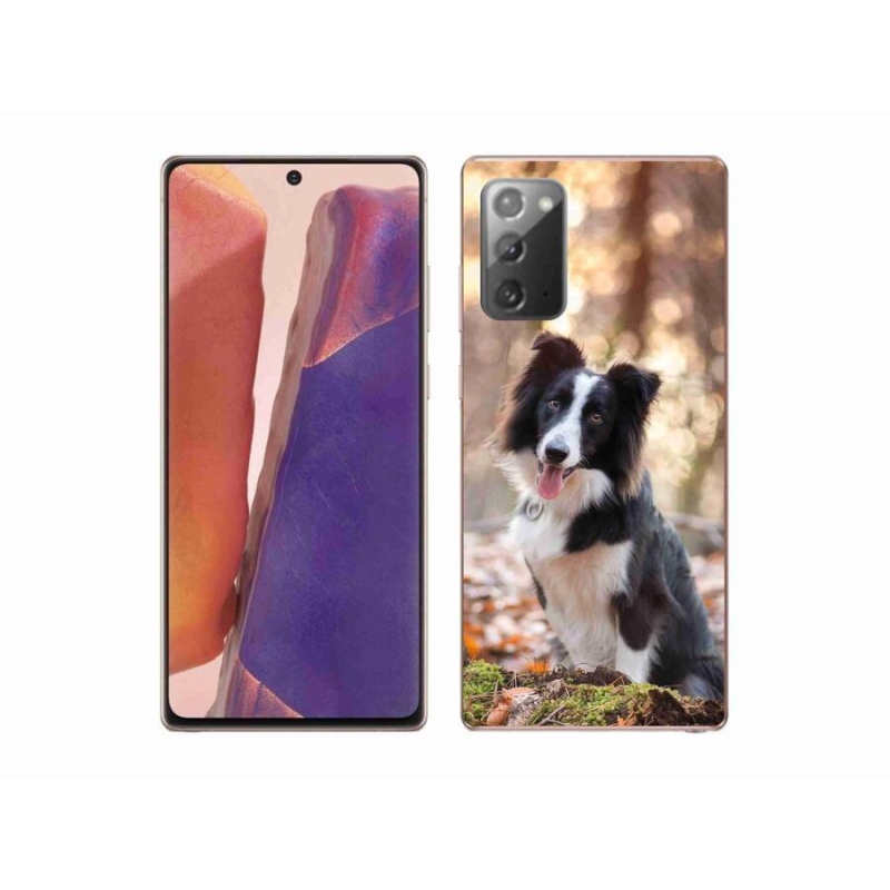 Gelový obal mmCase na mobil Samsung Galaxy Note 20/Note 20 5G - border kolie 1
