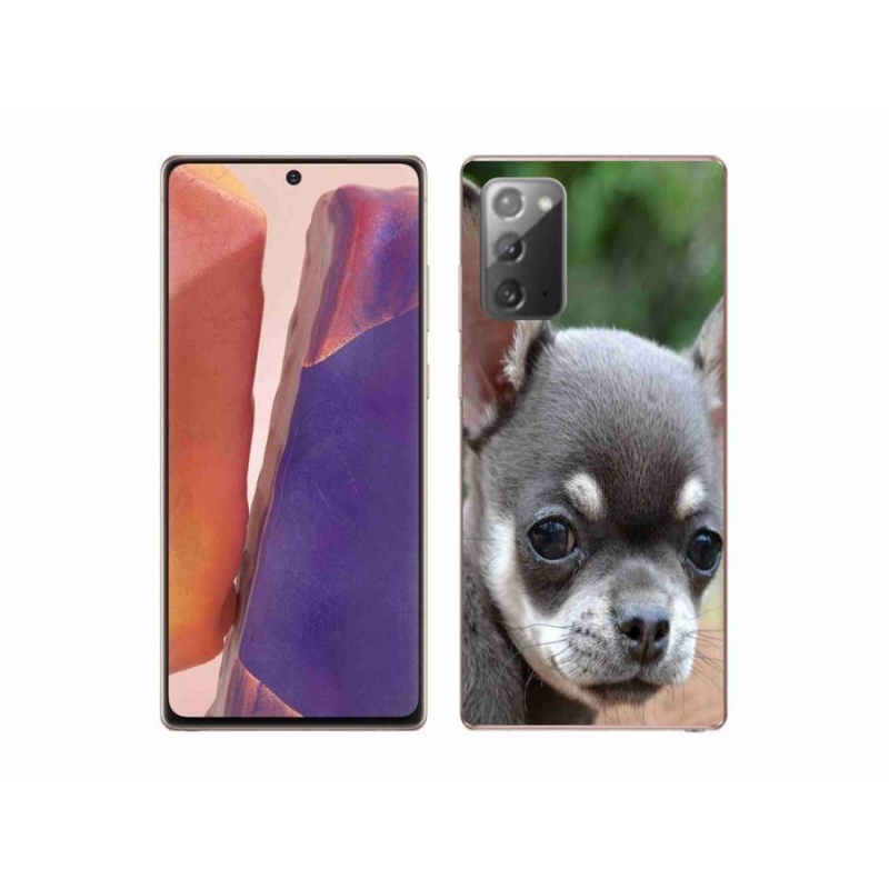 Gelový obal mmCase na mobil Samsung Galaxy Note 20/Note 20 5G - čivava
