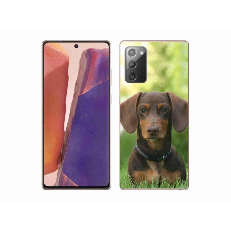 Gelový obal mmCase na mobil Samsung Galaxy Note 20/Note 20 5G - hnědý jezevčík