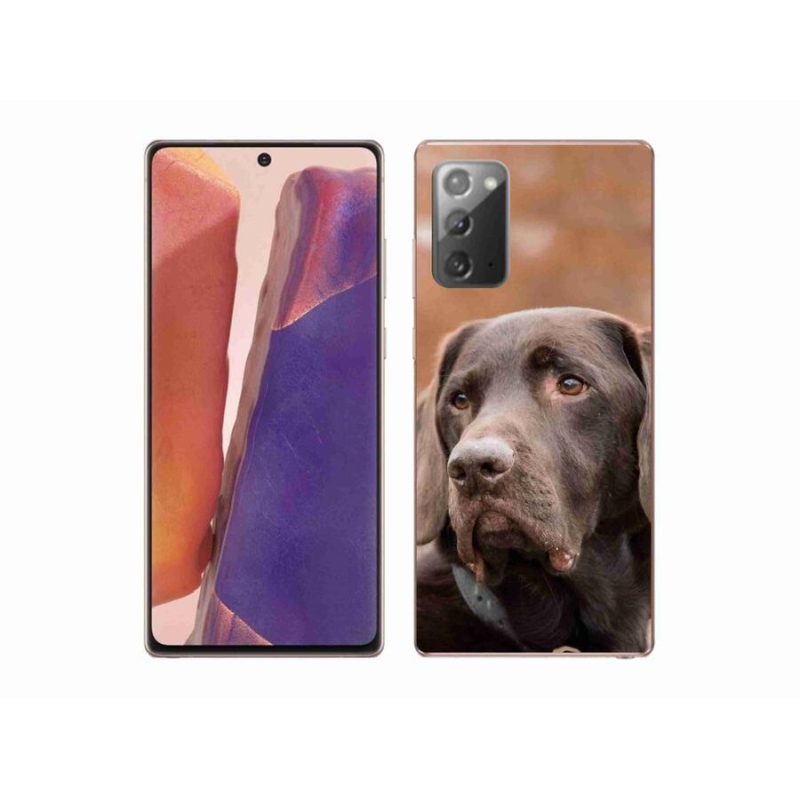Gelový obal mmCase na mobil Samsung Galaxy Note 20/Note 20 5G - hnědý labrador