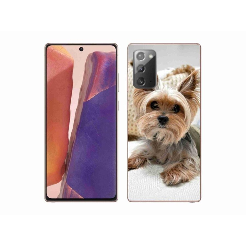 Gelový obal mmCase na mobil Samsung Galaxy Note 20/Note 20 5G - jorkšír 5