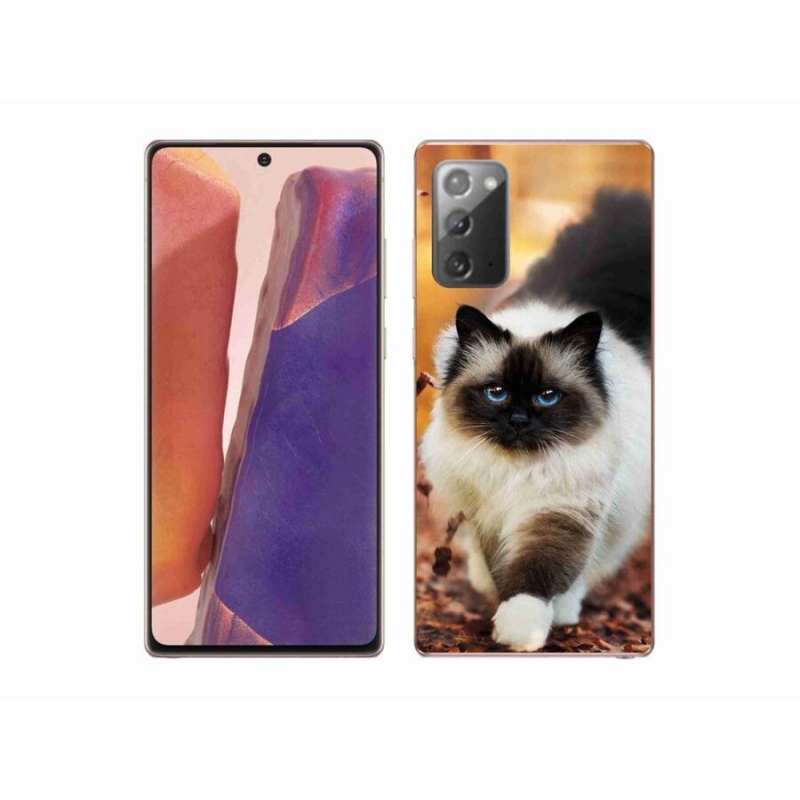Gelový obal mmCase na mobil Samsung Galaxy Note 20/Note 20 5G - kočka 1