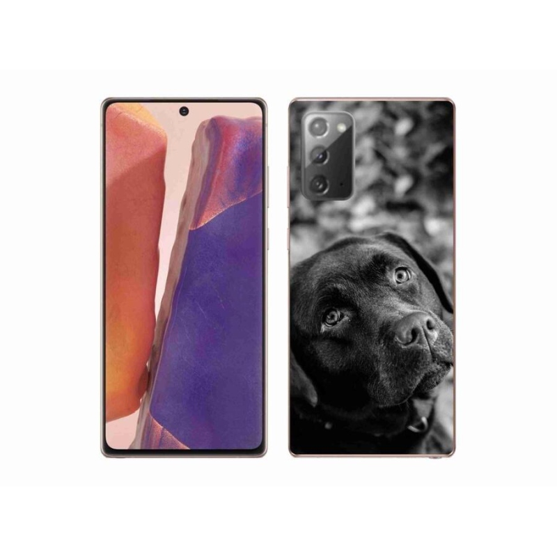 Gelový obal mmCase na mobil Samsung Galaxy Note 20/Note 20 5G - labrador