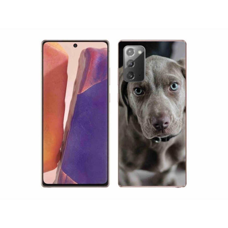 Gelový obal mmCase na mobil Samsung Galaxy Note 20/Note 20 5G - výmarský ohař