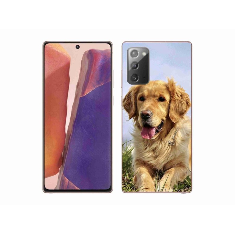 Gelový obal mmCase na mobil Samsung Galaxy Note 20/Note 20 5G - zlatý retrívr