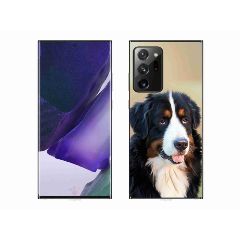 Gelový obal mmCase na mobil Samsung Galaxy Note 20 Ultra - bernský salašnický pes