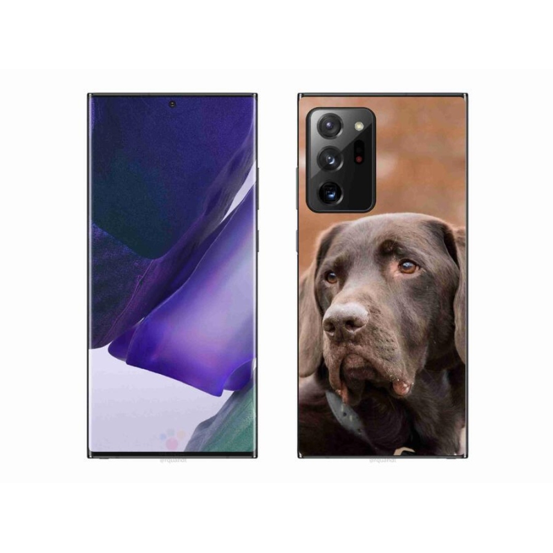Gelový obal mmCase na mobil Samsung Galaxy Note 20 Ultra - hnědý labrador