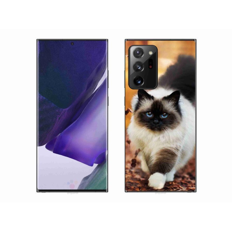 Gelový obal mmCase na mobil Samsung Galaxy Note 20 Ultra - kočka 1
