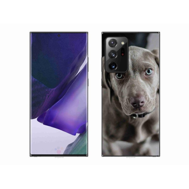 Gelový obal mmCase na mobil Samsung Galaxy Note 20 Ultra - výmarský ohař