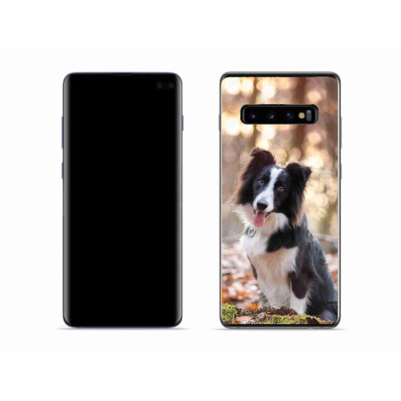Gelový obal mmCase na mobil Samsung Galaxy S10 - border kolie 1