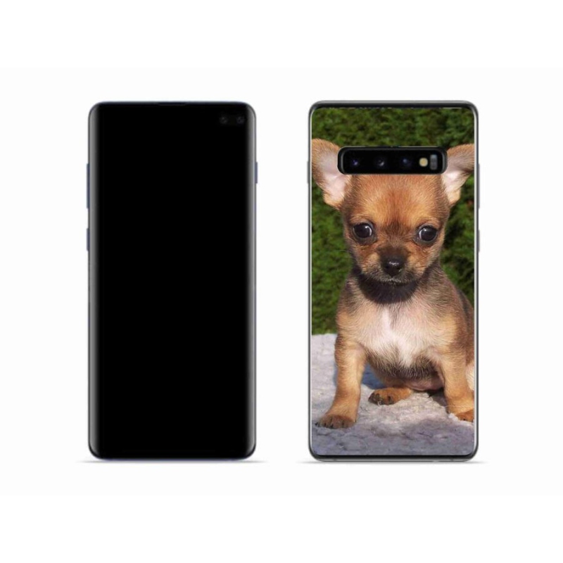 Gelový obal mmCase na mobil Samsung Galaxy S10 - čivava 3