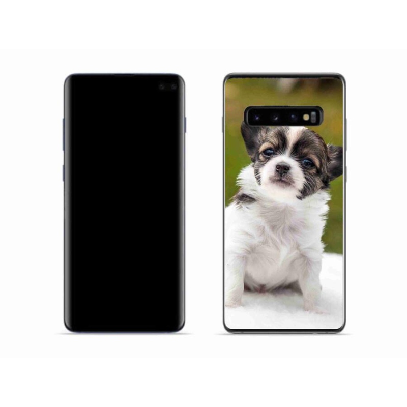 Gelový obal mmCase na mobil Samsung Galaxy S10 - čivava 4