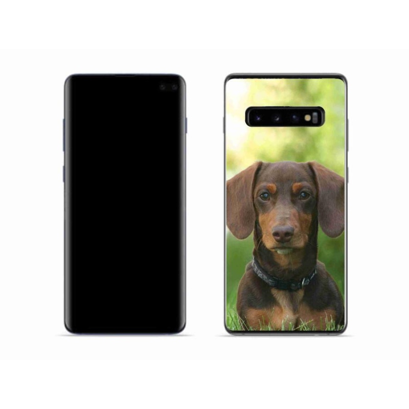 Gelový obal mmCase na mobil Samsung Galaxy S10 - hnědý jezevčík