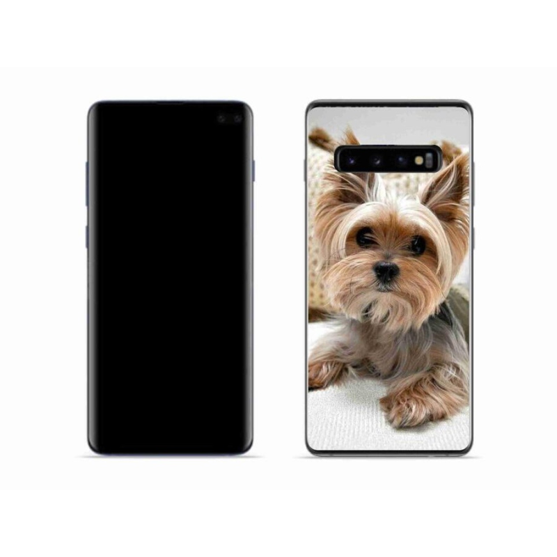 Gelový obal mmCase na mobil Samsung Galaxy S10 - jorkšír 5