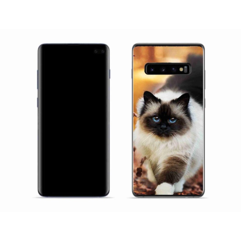 Gelový obal mmCase na mobil Samsung Galaxy S10 - kočka 1