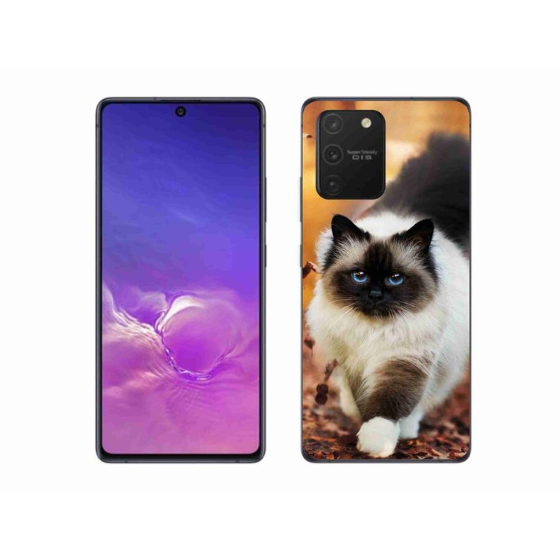 Gelový obal mmCase na mobil Samsung Galaxy S10 Lite - kočka 1