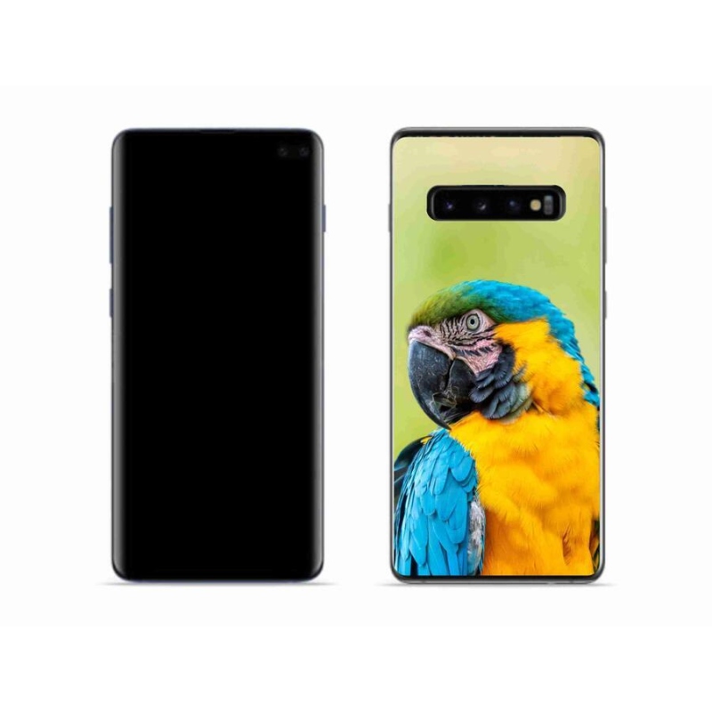 Gelový obal mmCase na mobil Samsung Galaxy S10 - papoušek ara 2