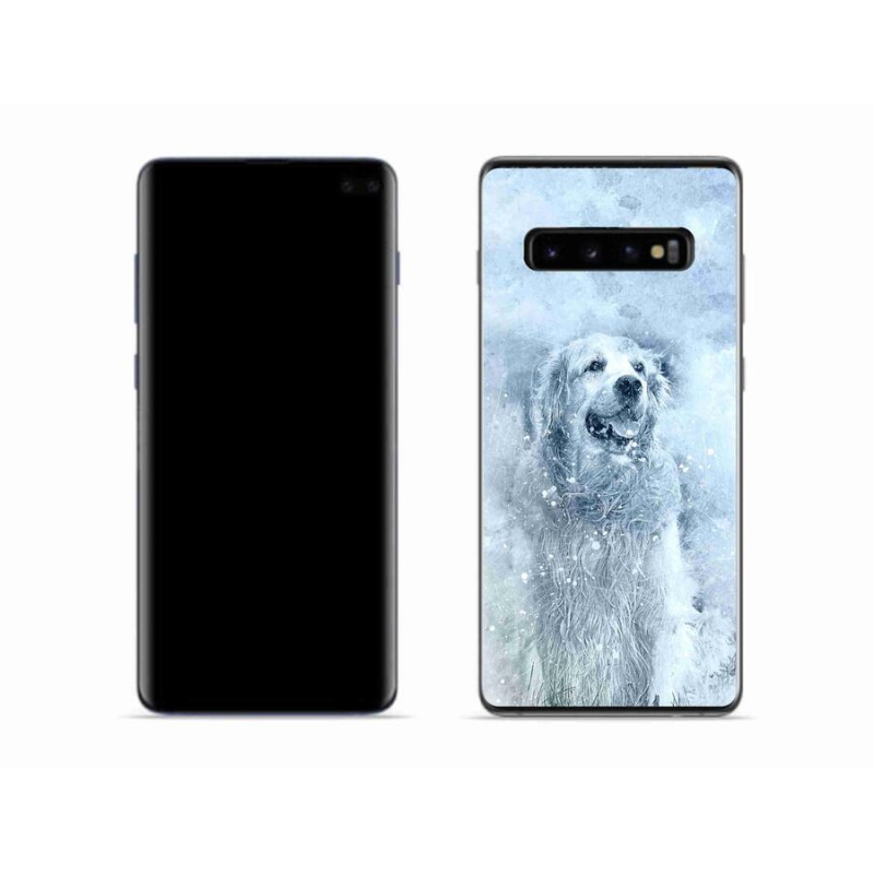 Gelový obal mmCase na mobil Samsung Galaxy S10 - retrívr