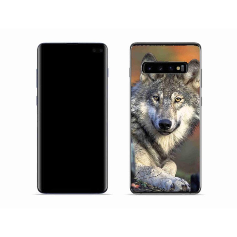 Gelový obal mmCase na mobil Samsung Galaxy S10 - vlk