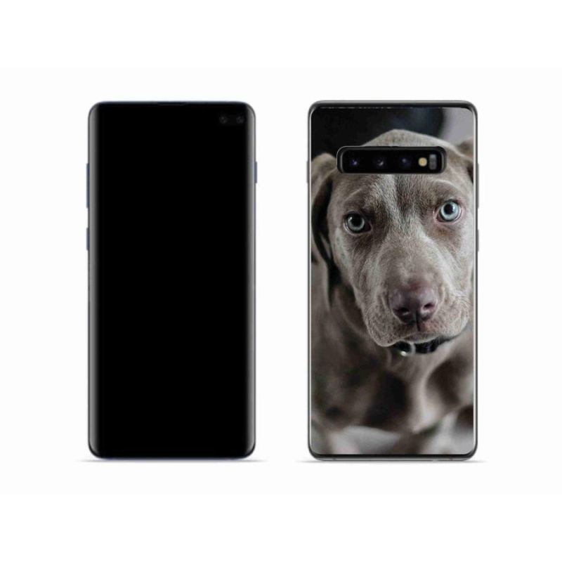 Gelový obal mmCase na mobil Samsung Galaxy S10 - výmarský ohař