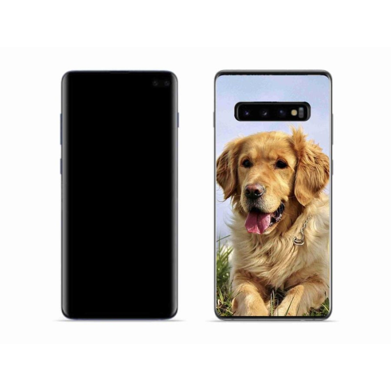 Gelový obal mmCase na mobil Samsung Galaxy S10 - zlatý retrívr