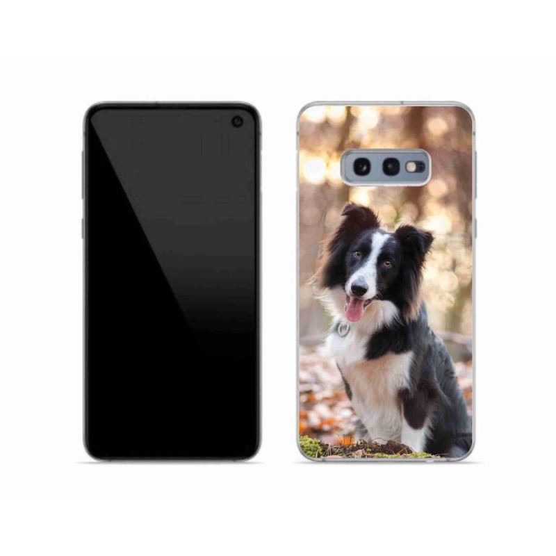 Gelový obal mmCase na mobil Samsung Galaxy S10e - border kolie 1