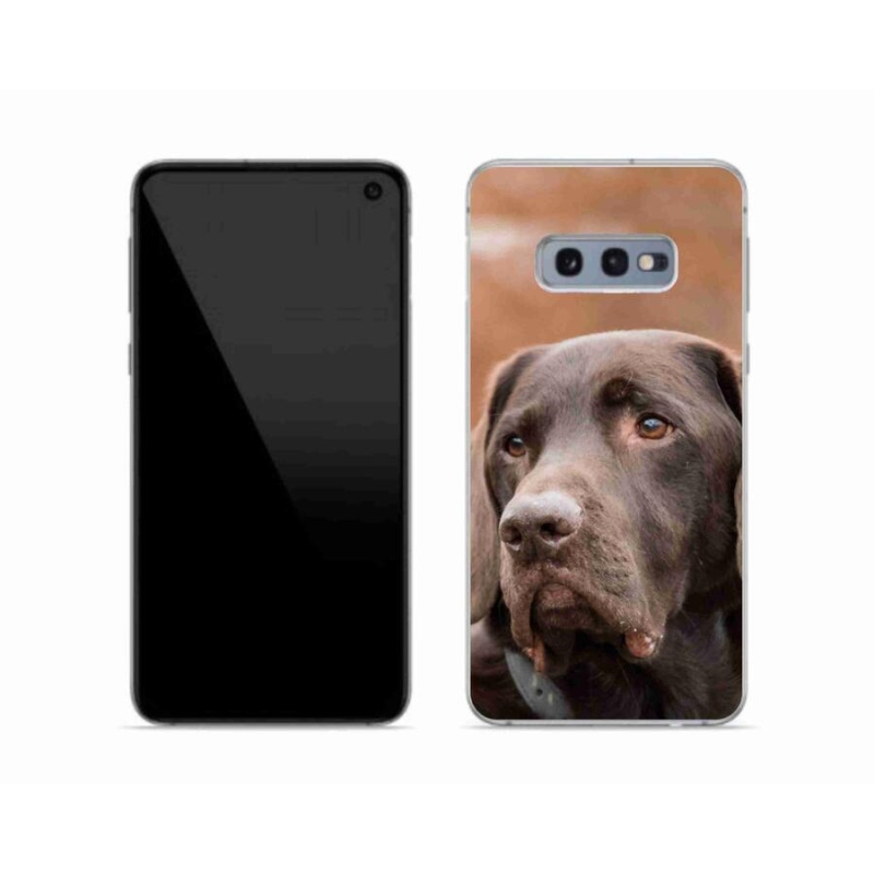 Gelový obal mmCase na mobil Samsung Galaxy S10e - hnědý labrador