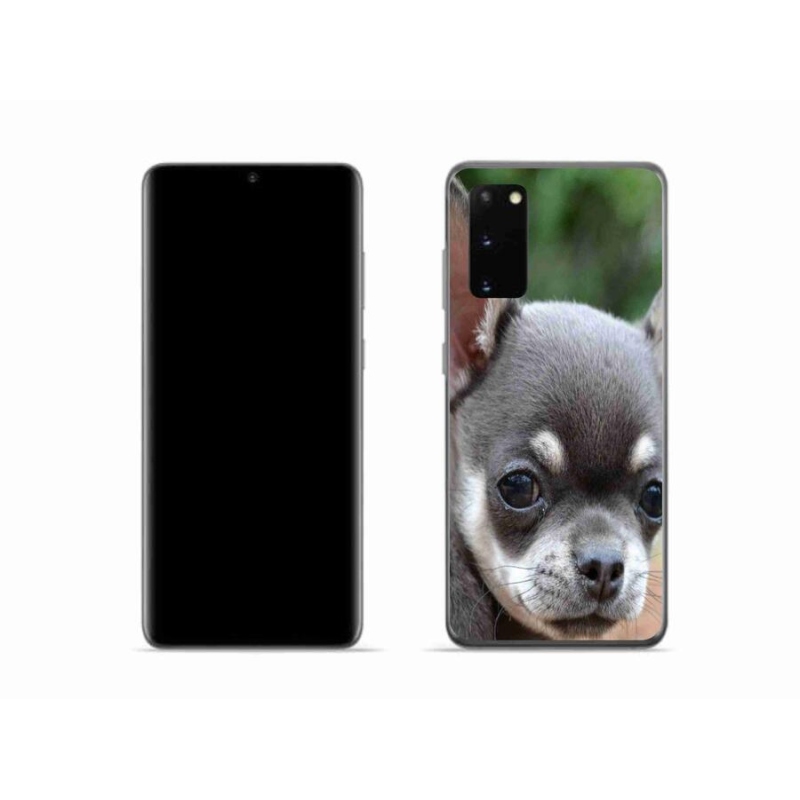 Gelový obal mmCase na mobil Samsung Galaxy S20 - čivava