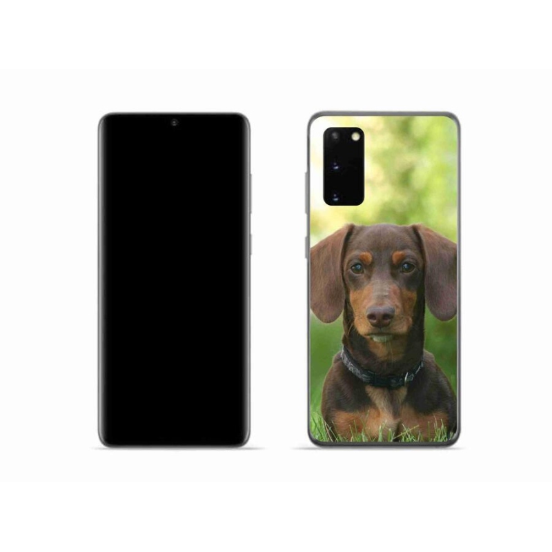 Gelový obal mmCase na mobil Samsung Galaxy S20 - hnědý jezevčík