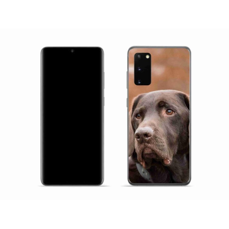 Gelový obal mmCase na mobil Samsung Galaxy S20 - hnědý labrador