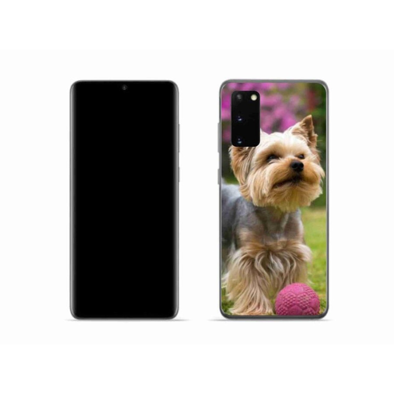 Gelový obal mmCase na mobil Samsung Galaxy S20 - jorkšír 4