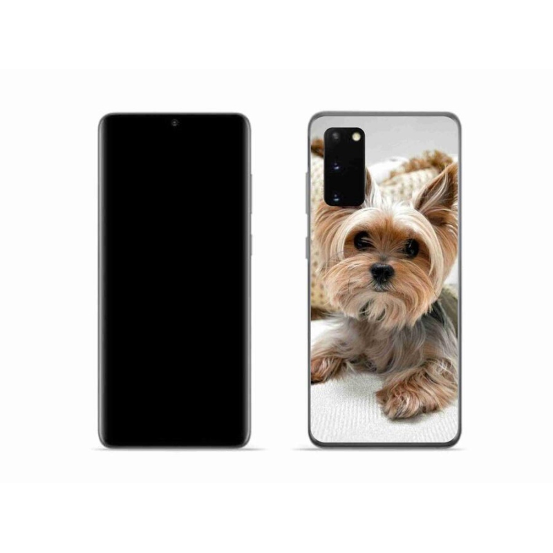 Gelový obal mmCase na mobil Samsung Galaxy S20 - jorkšír 5