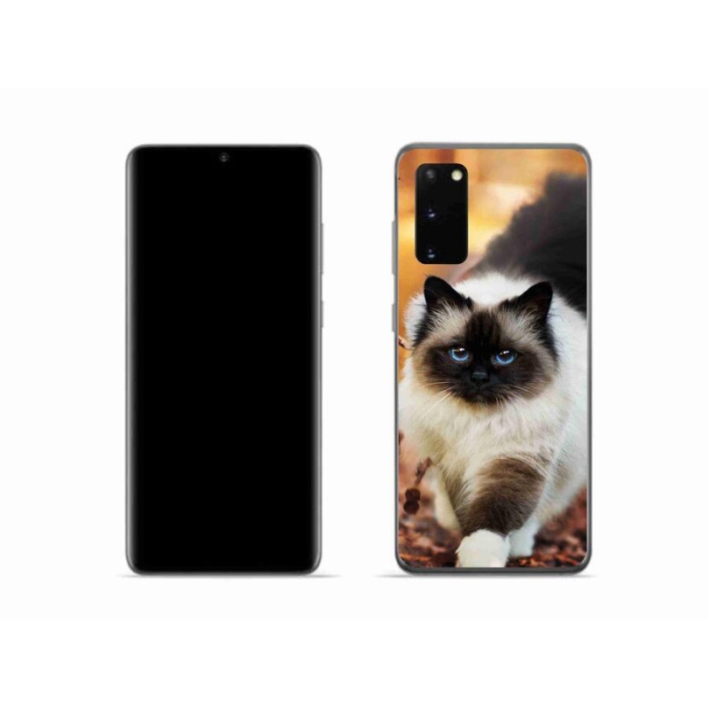 Gelový obal mmCase na mobil Samsung Galaxy S20 - kočka 1