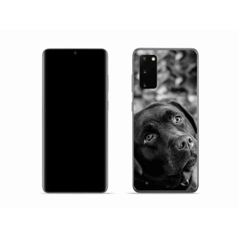 Gelový obal mmCase na mobil Samsung Galaxy S20 - labrador